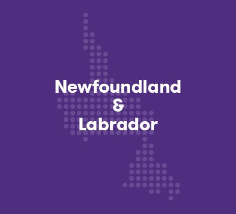 2021 Newfoundland and Labrador budget summary
