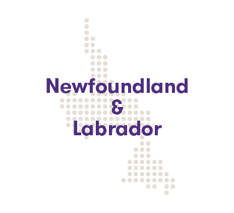 Newfoundland and labrador budget 2019 graphic